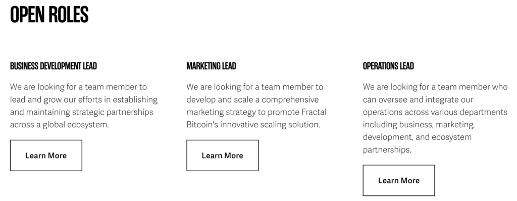 看官网招聘信息,尽是什么BD(商务拓展)、Marketing Lead(市场主管)、Operation Lead(运营主管)之类的商务类岗位。